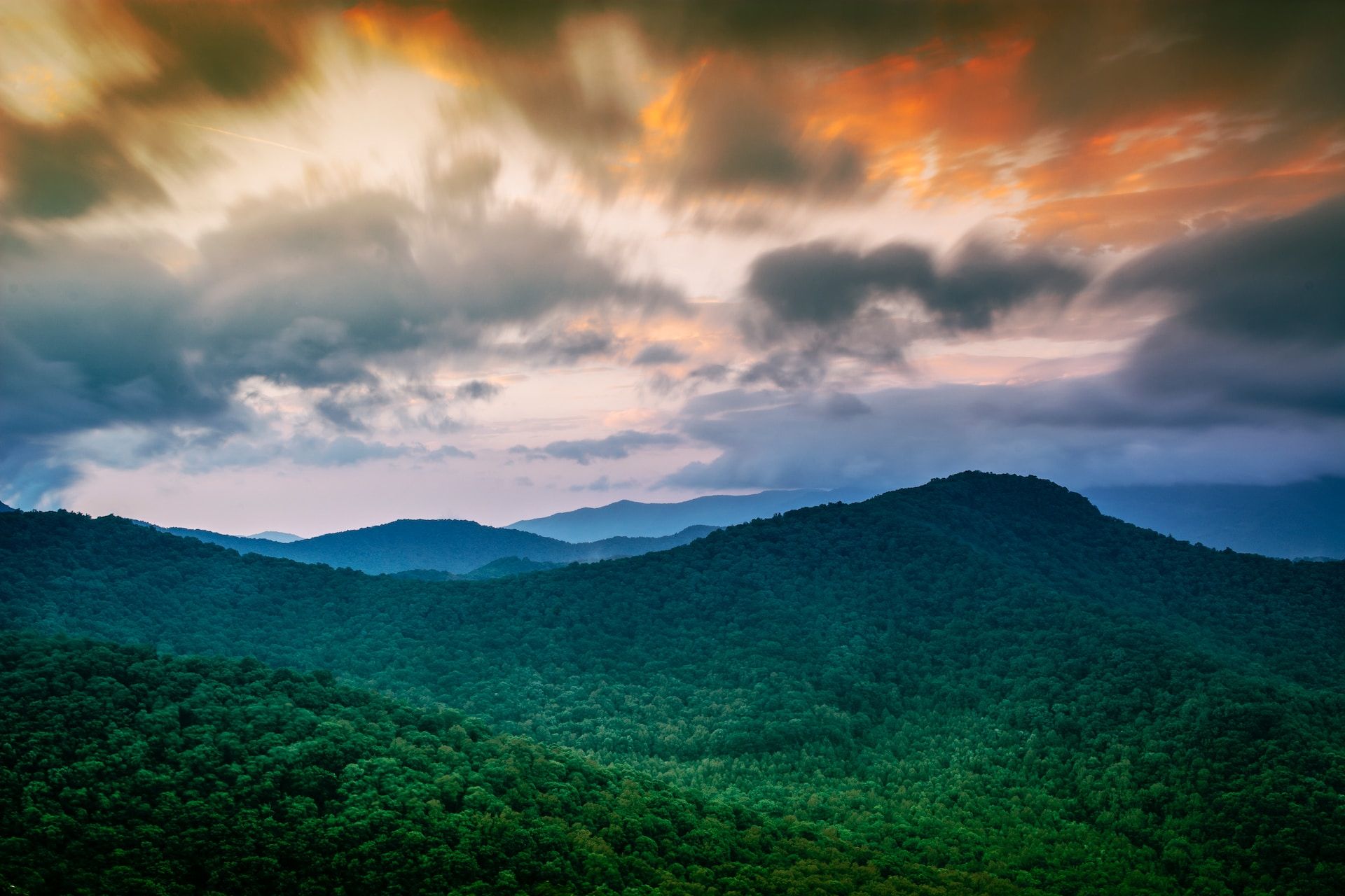 Header Image